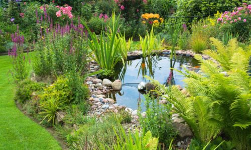 Der Traum vom eigenen Teich: So verwandeln Sie Ihren Garten in eine Oase