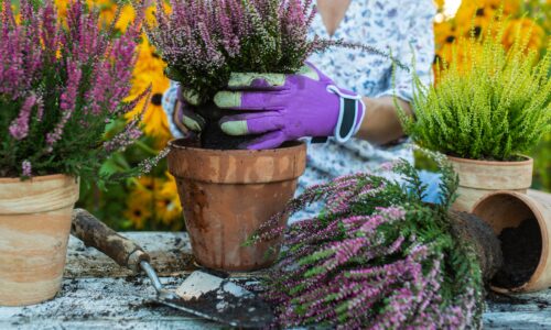 Dekorative Garten-Ideen für alle Jahreszeiten